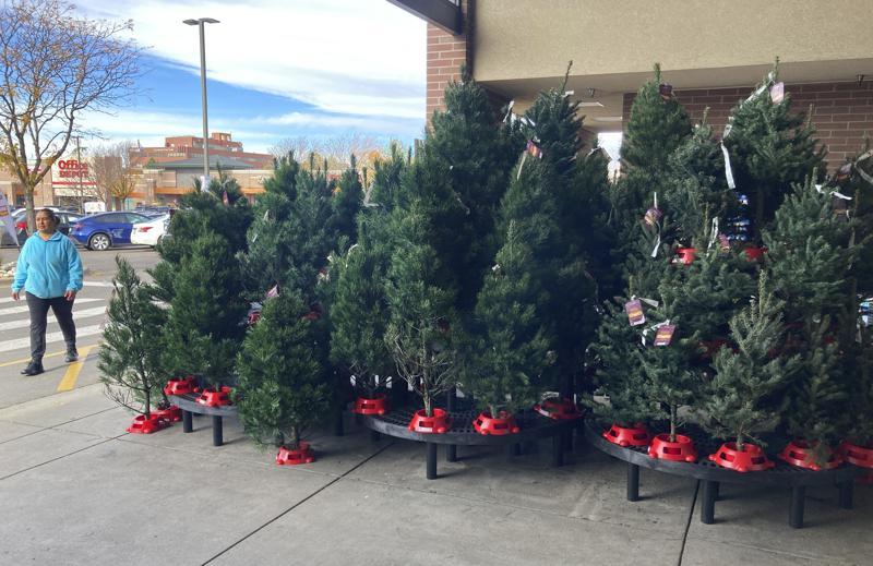 El impacto ambiental detrás de tu árbol de Navidad