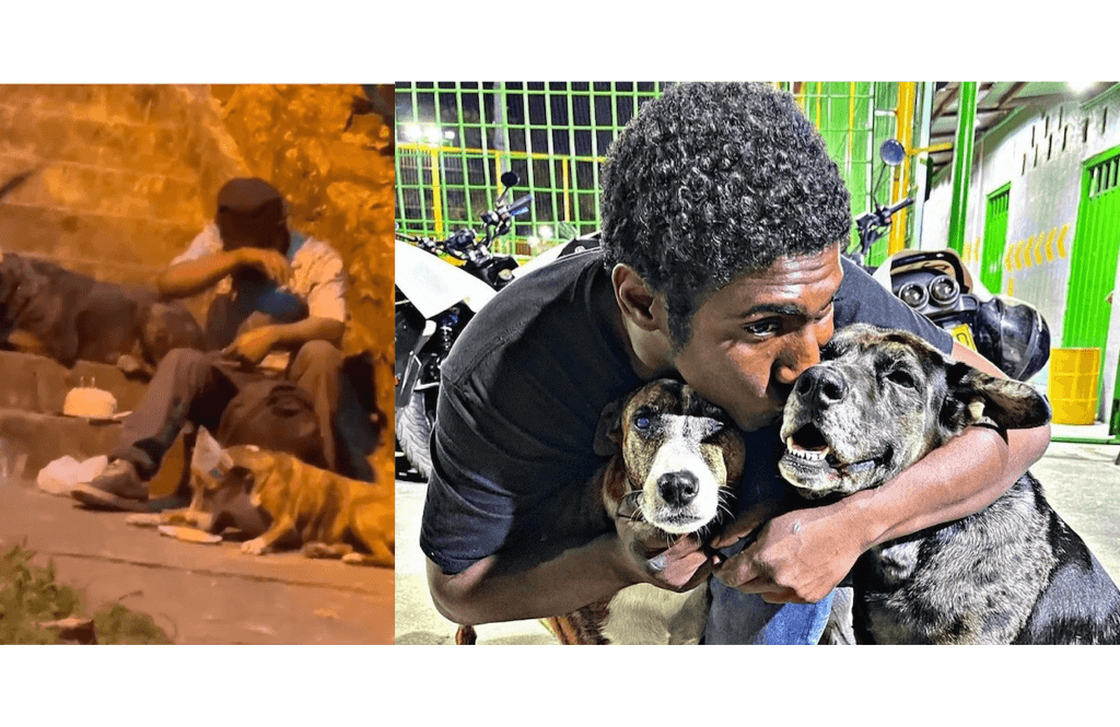 Video: Choco el hombre en condiciones de calle que festejó el cumpleaños de sus lomitos