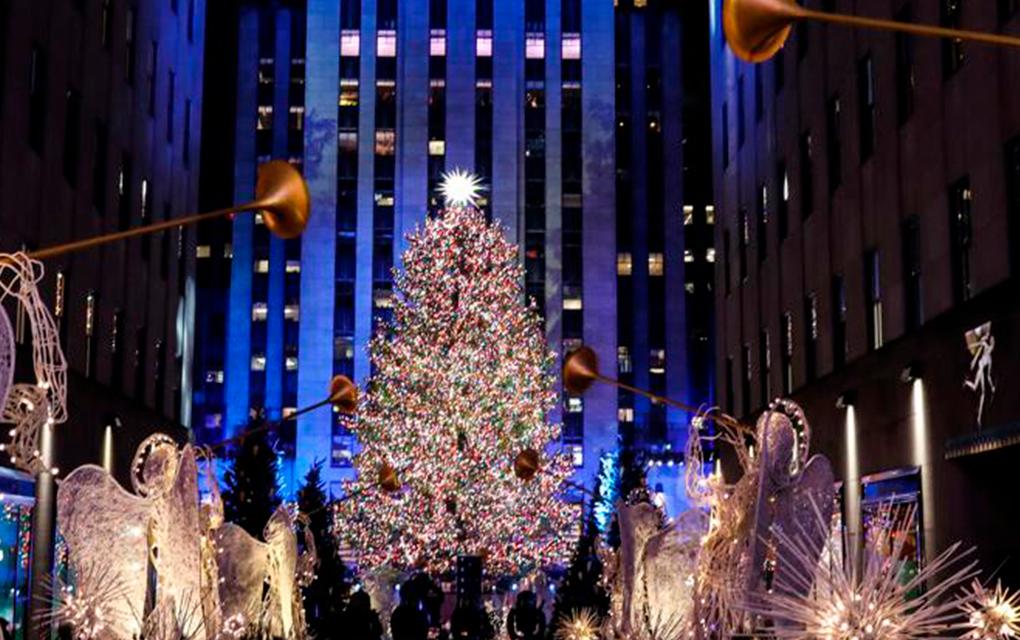 Los mejores 5 árboles de Navidad que deslumbran al mundo