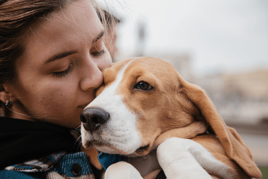 Mascotas: ¿Pueden experimentar depresión?