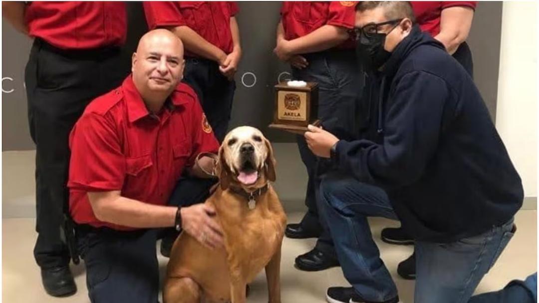 ¡Adiós,Titán! El perro rescatista que salvó vidas tras el 19S