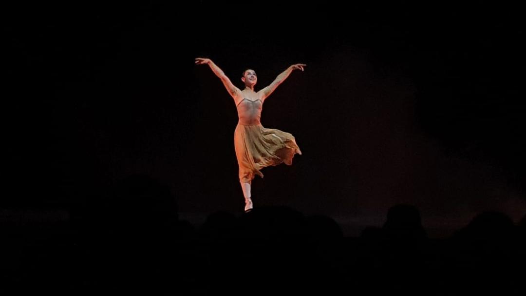 Emoción y pasión en la Gala Juntos por la Danza y Amigos