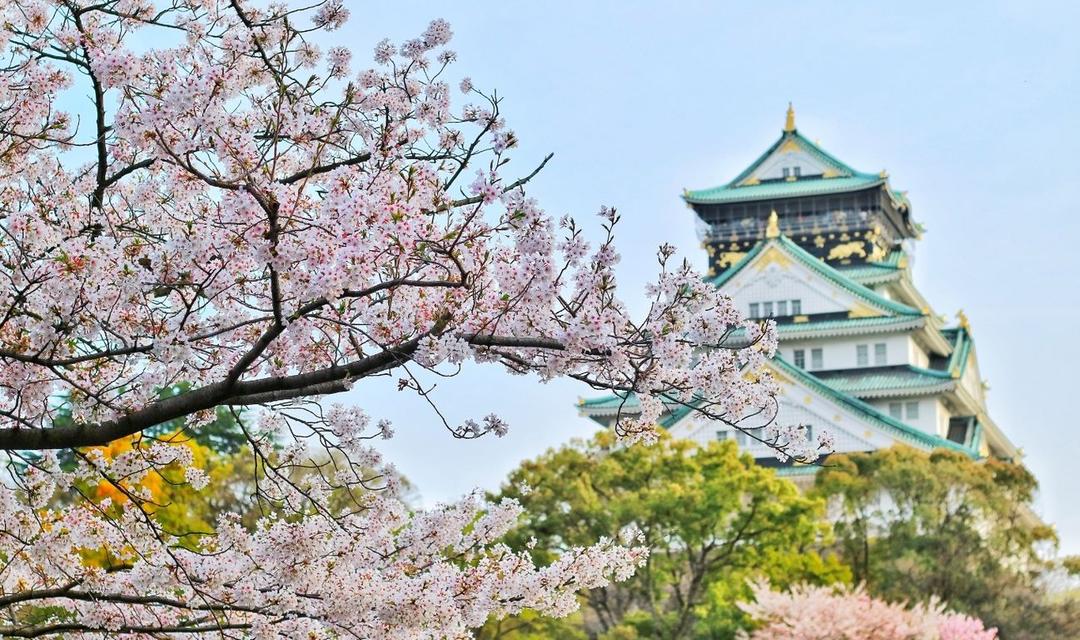 ¿Por qué Japón se está convirtiendo en el destino favorito para las lunas de miel?