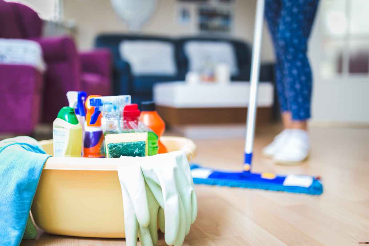 ¡Despídete de una vez del olor a humedad en tu casa! (2)