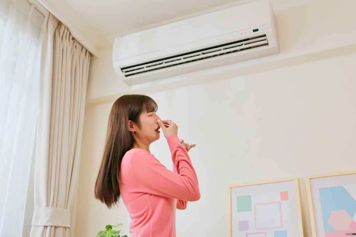 ¡Despídete de una vez del olor a humedad en tu casa!