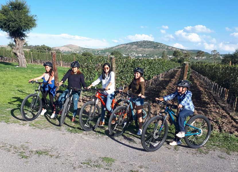 Viñedos de Querétaro que puedes recorrer en bicicleta