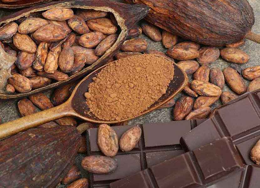 Día mundial del cacao, el  alimento de los dioses. / Foto: iStock.