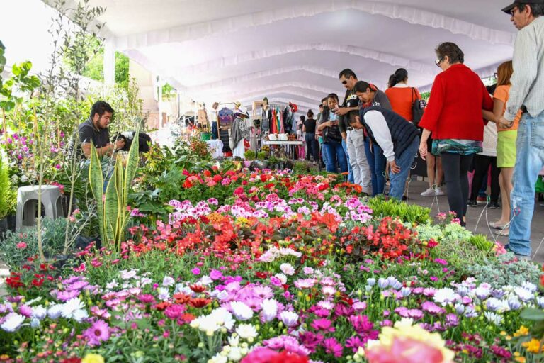 Festival de las Flores Amealco 2023 se realiza con éxito