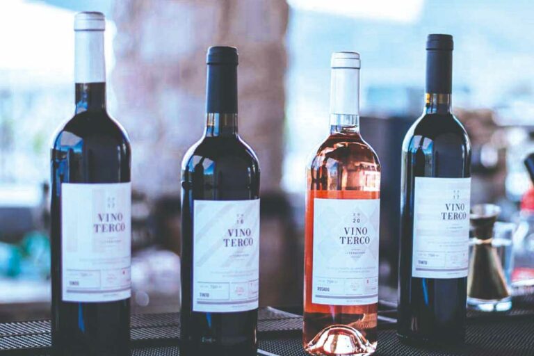 El vino Terco del viñedo La Terquedad es una mezcla de pasión, amor y constancia