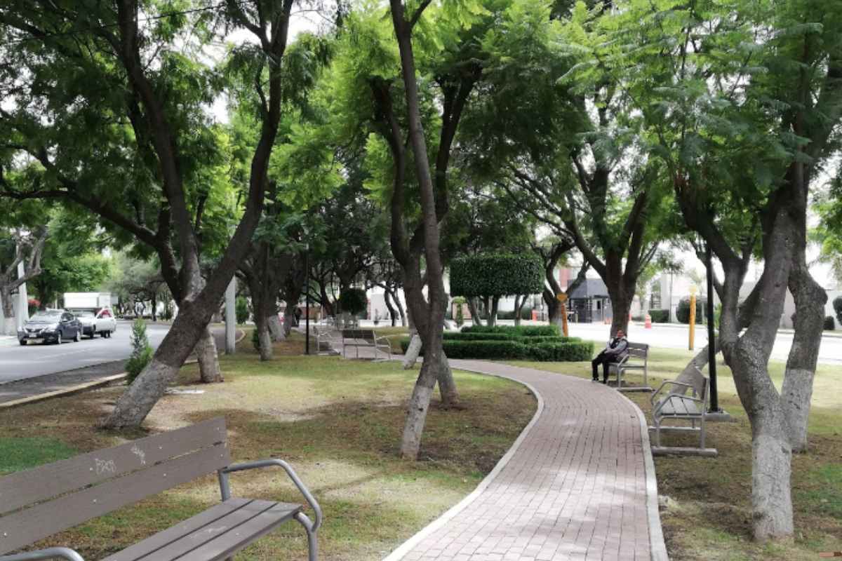 6 parques en Querétaro para disfrutar con tus hijos este Día del Niño (1)