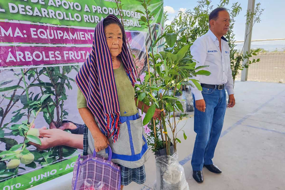 Para la entrega de árboles frutales se hizo una inversión de 147 mil 150 pesos.