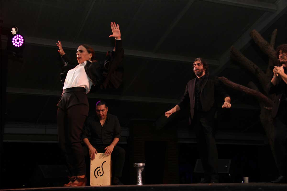 4. Querétaro sigue siendo la capital del flamenco. Juncal presumió la importancia del evento que ha traspasado fronteras.