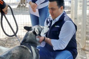 Luis Nava señaló que hasta el día de hoy ya se han instalado 2 mil papeleras “doggys” que garantizan el confinamiento adecuado de los desechos de las mascotas en toda la ciudad.