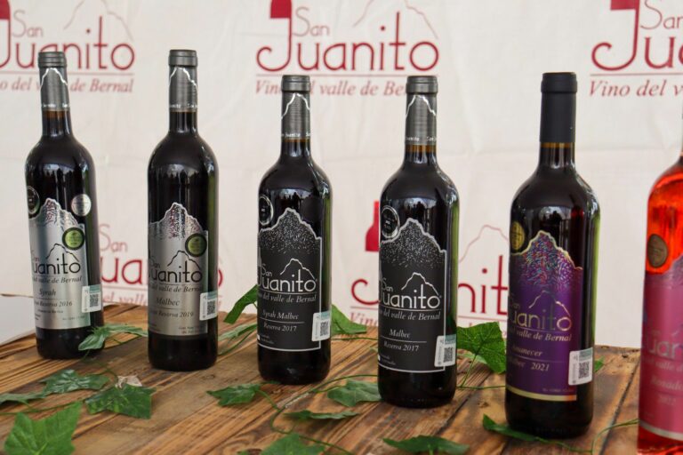 El Clúster Vinícola de Querétaro organizó con éxito el tercer Festival del Vino Queretano