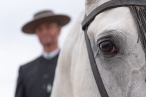 Con una buena respuesta de los visitantes a la Feria de Querétaro, culminó el Concurso Internacional de Equitación y Doma de Trabajo.