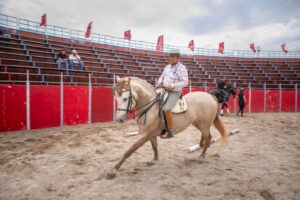 Sergio García, adiestrador de caballos internacional, reconoce a Querétaro como cuna de equinos con categoría