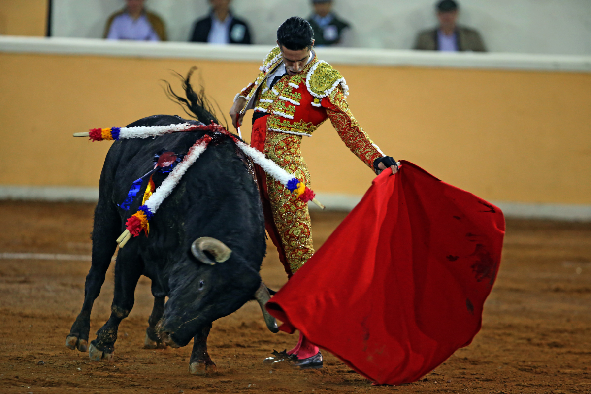 15 Juriquilla abre el 2024 con corrida de toros de lujo. Provincia Juriquilla festejó a lo grande en su plaza, con una corrida de toros de lujo