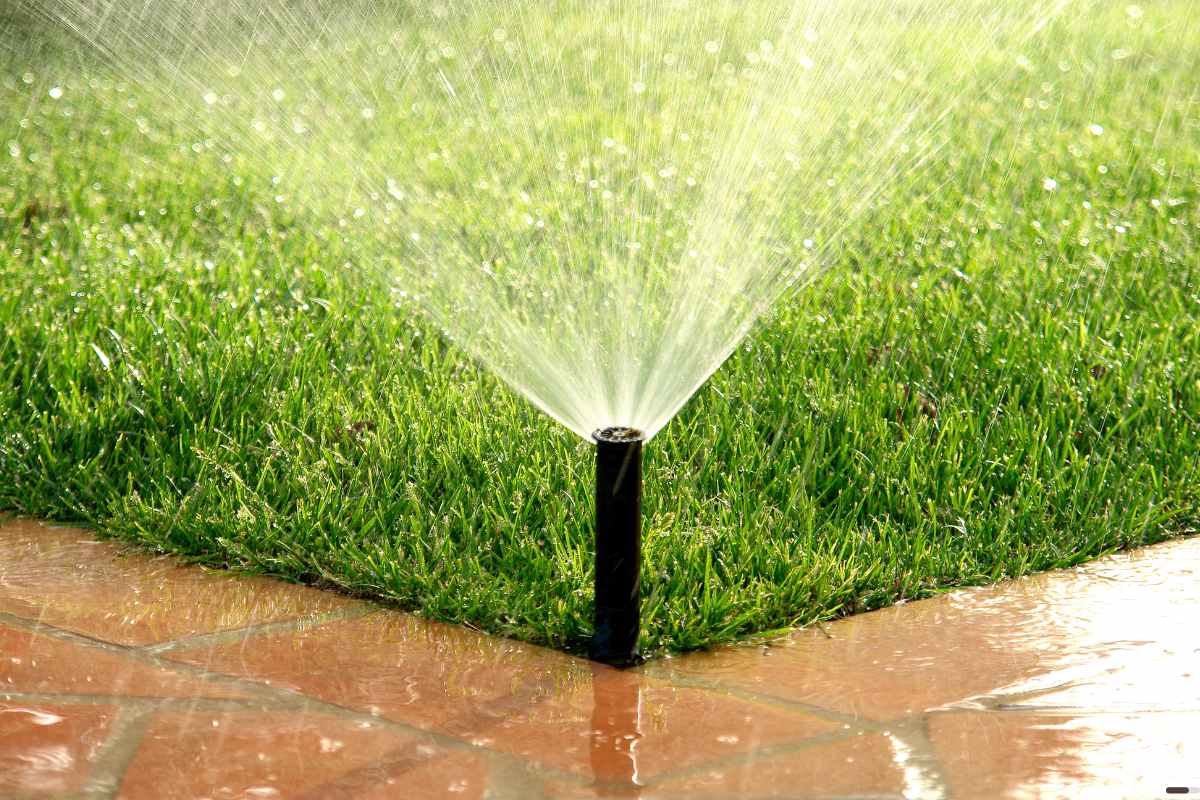 Roof Garden Beneficios e ideas para construir tu propia azotea sistema de riego