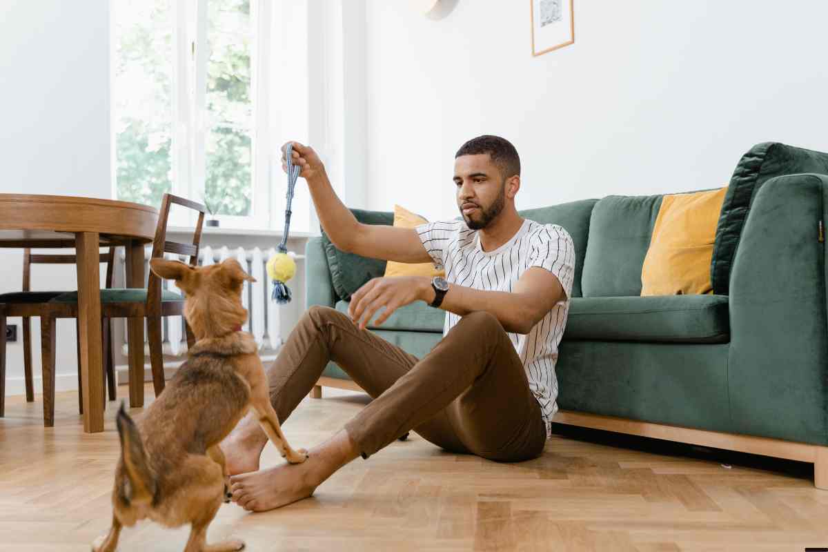 Si buscas mantener a tus mascotas felices en casa sigue estos consejos (3)