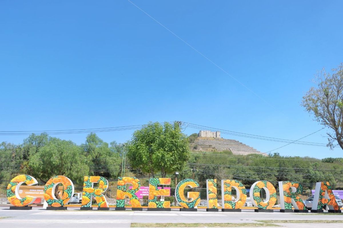 Celebra el Día de la Biodiversidad con estos increíbles eventos en Corregidora