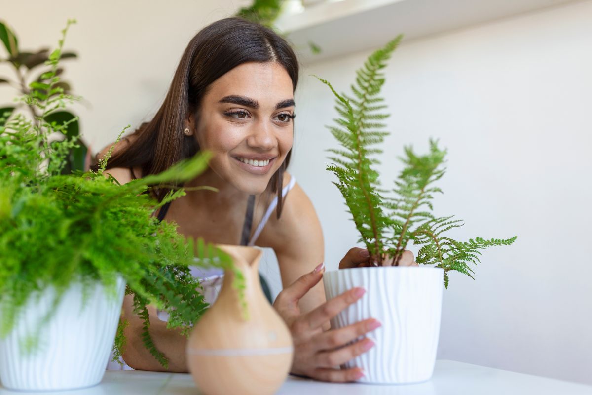 Las plantas interiores no solo decoran, también mejoran tu calidad de vida. Foto: Especial