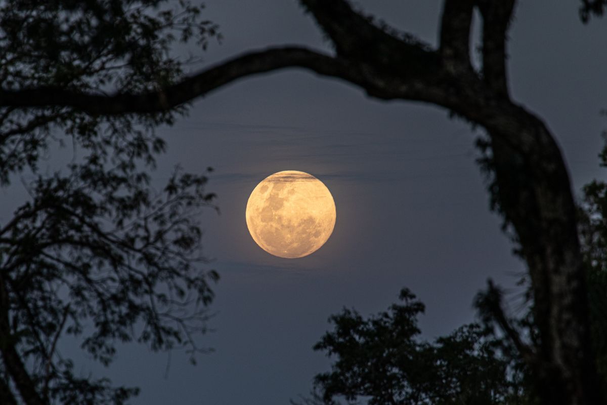 La Luna de Ciervo brillará el 10 de julio, evocando tradiciones ancestrales y regalando una postal mágica en el cielo. Foto: Especial