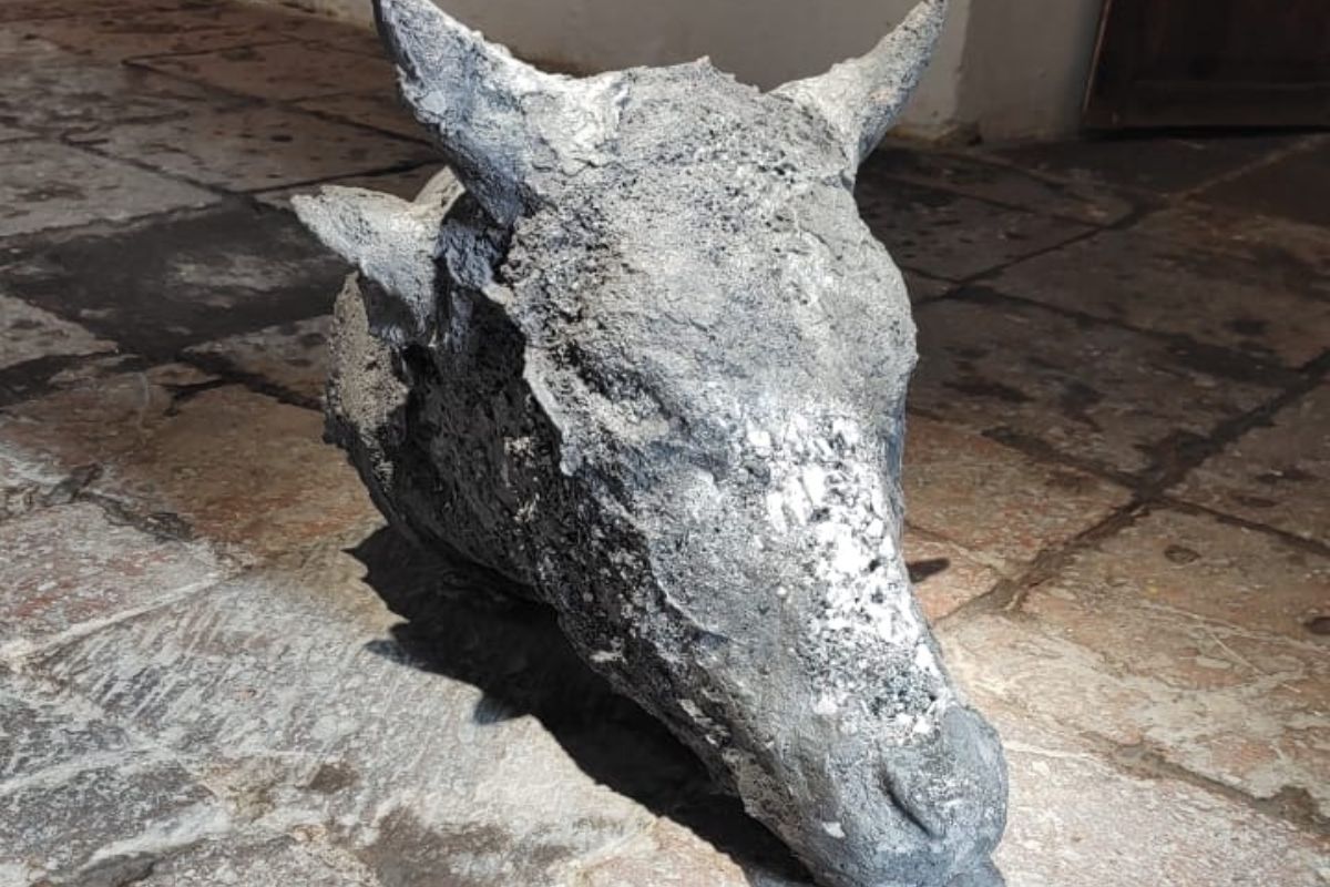 Llega al Museo de la Ciudad la exposición El peso de la sombra