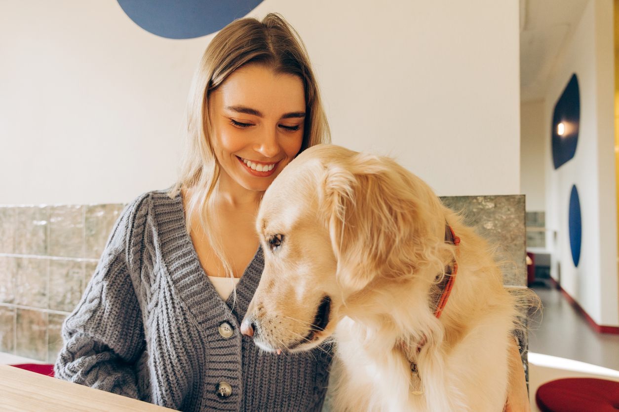 ¿Sales a comer con tu perro en Querétaro? Te contamos todo: restaurantes que aceptan mascotas, consejos infalibles y cómo descargar la guía gastronómica más completa de la ciudad.