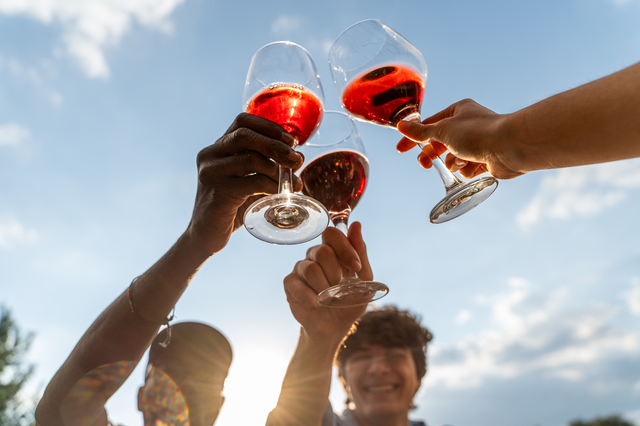 Descubre el maridaje perfecto con los Vinos de Querétaro. Te guiamos a través de sus mejores etiquetas, viñedos premiados y combinaciones ideales con la gastronomía local. ¡Descarga la guía gratis!