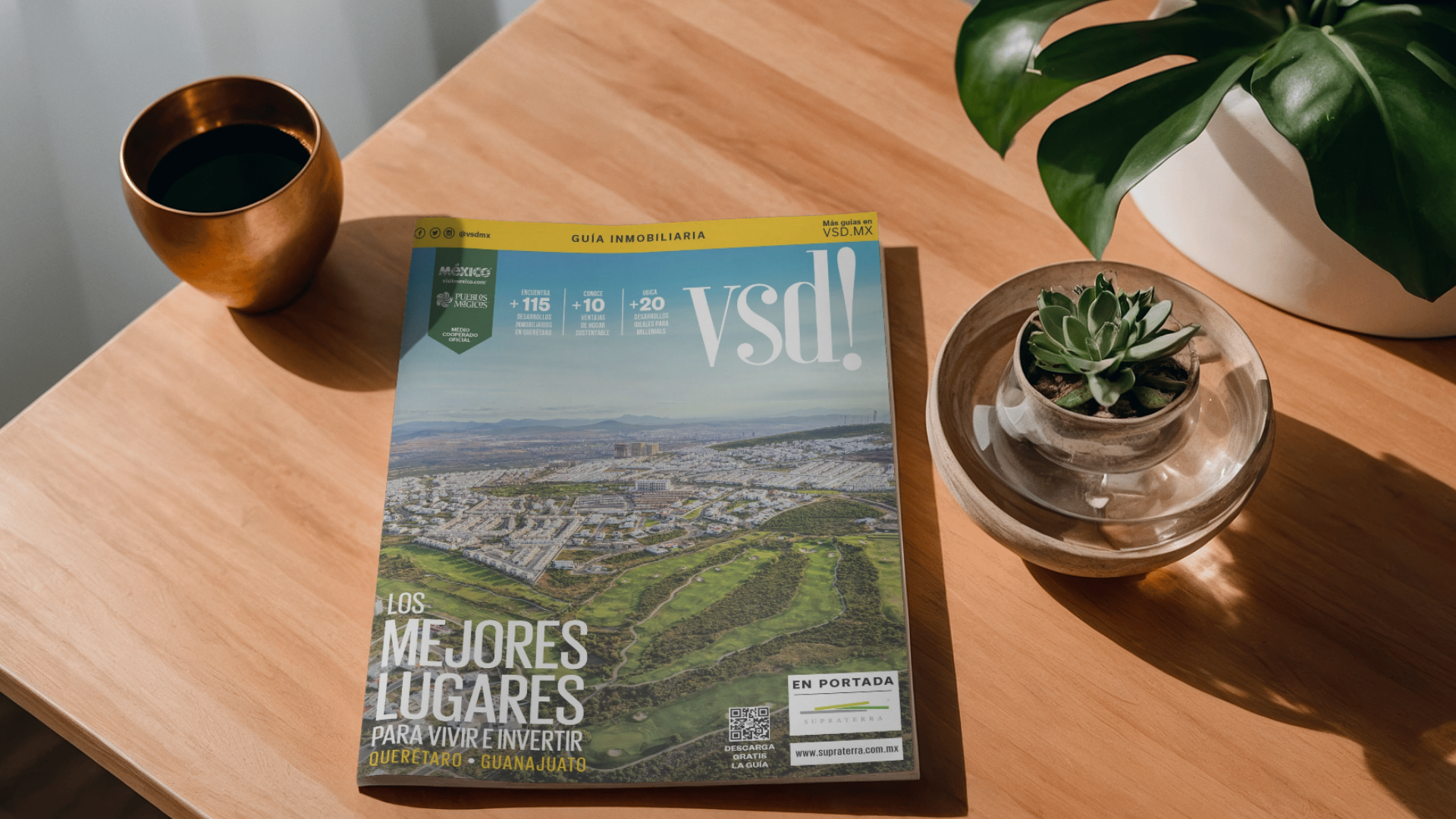 Guía Inmobiliaria VSD!