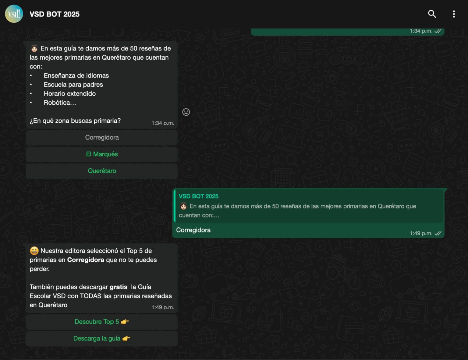 Chatbot VSD