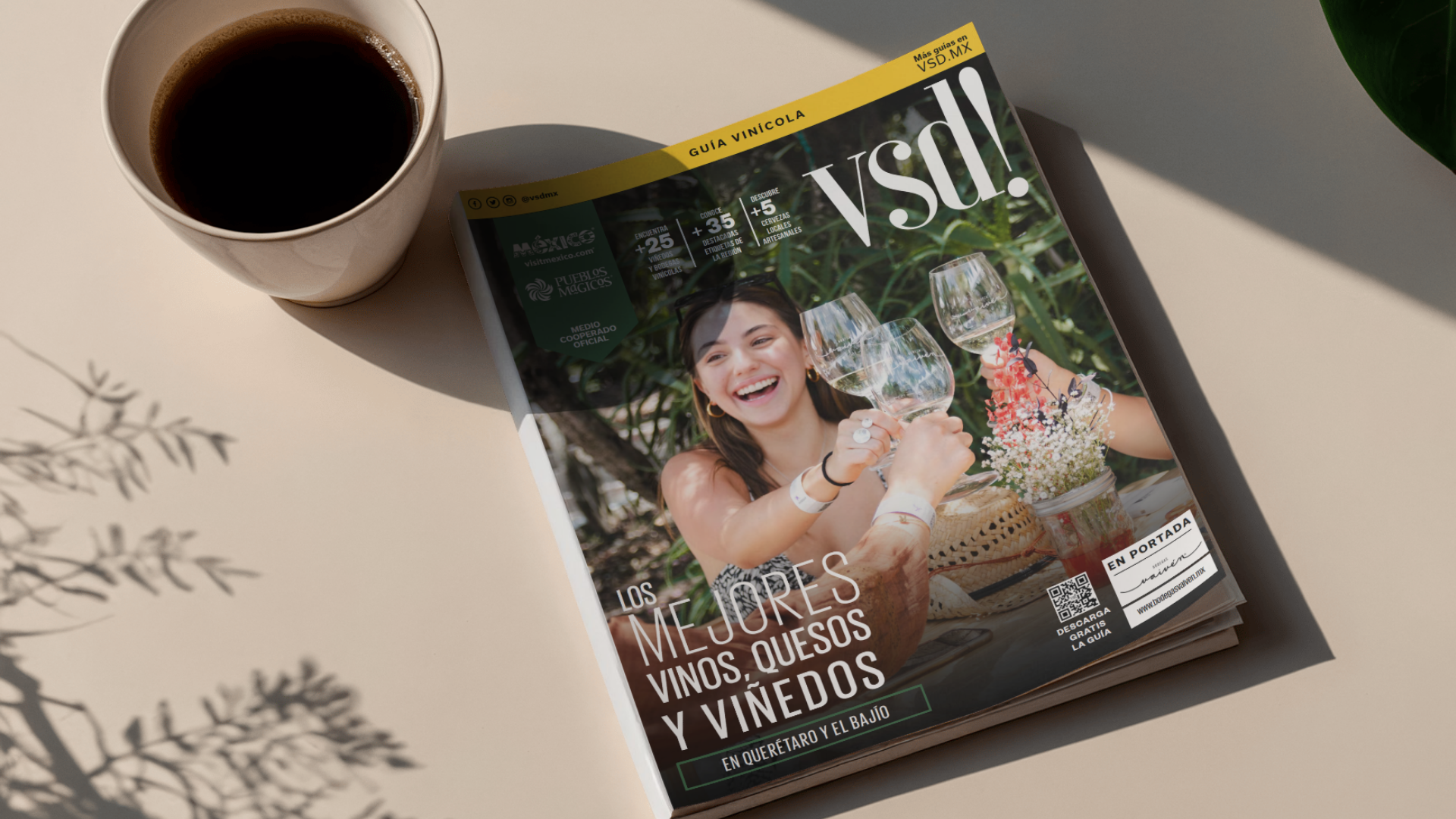 descarga la Guía Vinícola VSD