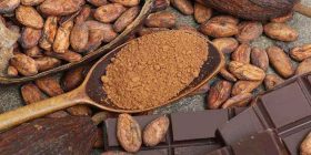 Día mundial del Cacao 2022